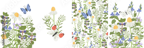 spring flowers and butterflies, vector drawing wild plants white background, set of floral compositions, hand drawn botanical illustration