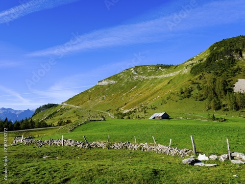 Alpine pasture area, Trattberg, Salzburger Land, Austria
