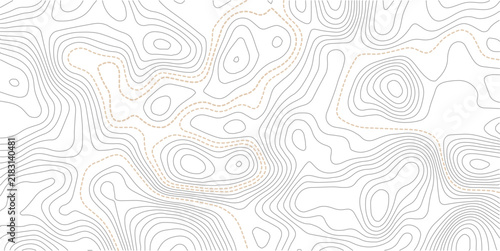 background of the topographic map. elevation contouring outline cartography texture.Seamless pattern with lines Topographic map. Geographic mountain relief diagram line wave carve design.