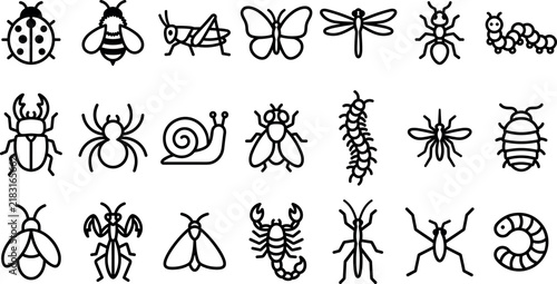 Vector line art icon set of various insects backyard bugs crawling garden creatures and biological pest elements