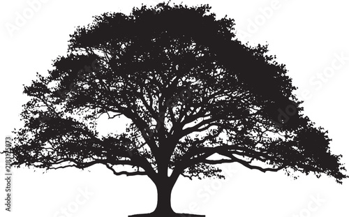 Oak tree silhouette with spreading branches, black nature vector icon on white background, majestic old growth tree for landscape design