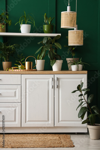 Interior of workshop with counters, plants and gardening tools