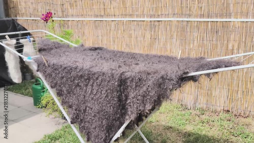 Drying a downy shawl in the courtyard on a sunny day