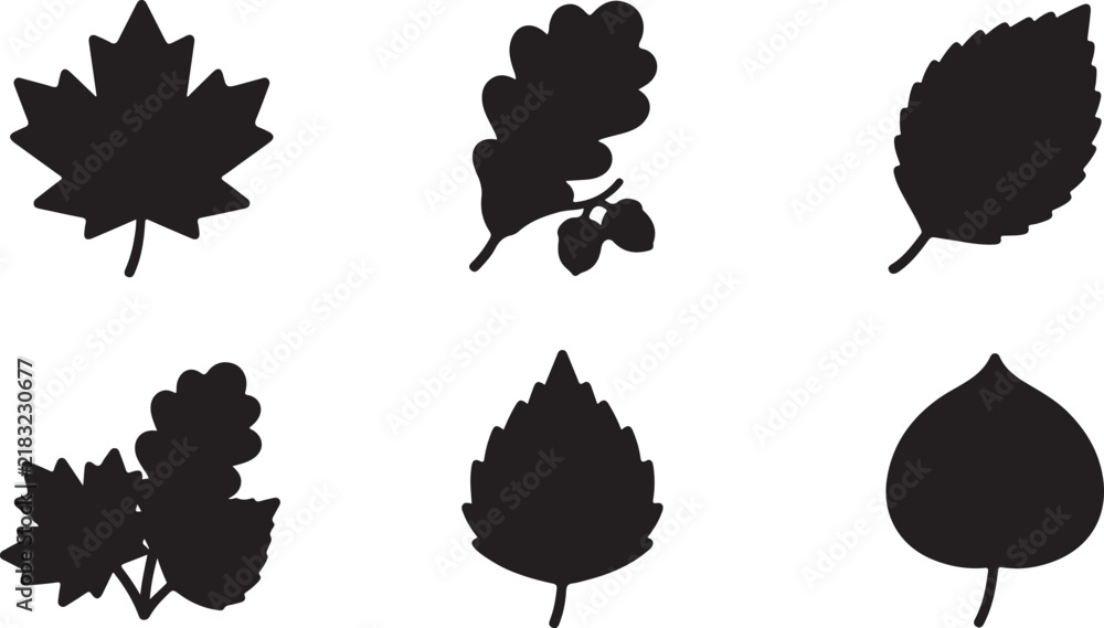 Fototapeta premium Set of black autumn leaf silhouettes for seasonal design and nature icons