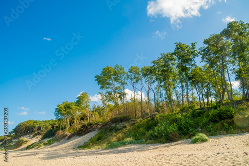 A sandy seashore with a forest on a hill. Summer panorama of a coastal forest with trees and a blue sky. An empty place for relaxation and travel.