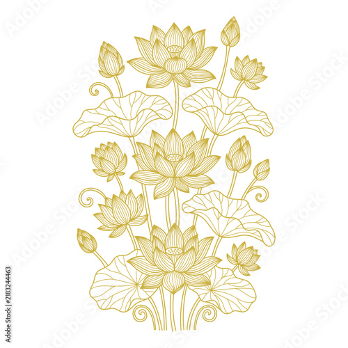 Gold line lotus flower and floral outline bloom for serene decor. Botanical minimalist and elegant art with lines by hand. Luxury lotus illustration for branding and invites or spa design.