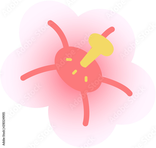 무궁화