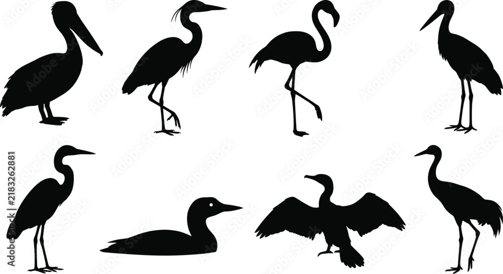 Fototapeta premium Water Bird Silhouette Collection with Pelican Heron Flamingo and Crane Symbols for Nature Graphic Design Projects