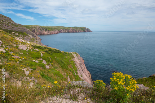 Newfoundland