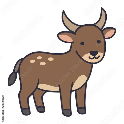 Anoa Dwarf Buffalo Native Sulawesi