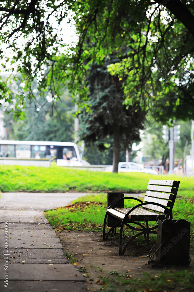 Fototapeta premium Tranquil Park Scene with Empty Bench and Blurred Bus in Urban Setting