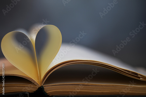 Heart-Shaped Page in Open Book Symbolizing Love for Reading and Literature Appreciation