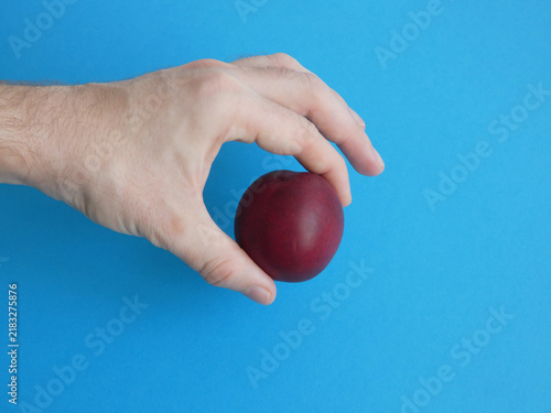 Foto Male fingers holding dark red peach fruit on blue background