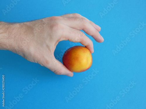 Obraz na plátně Male fingers holding ripe orange peach fruit on blue background