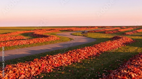 Plakat w ramie Raked Autumn Leaf Windrows and Cast Iron Bench