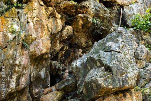 Photography Rock formation natural cave monkey wildlife rugged cliff tropical forest stone l