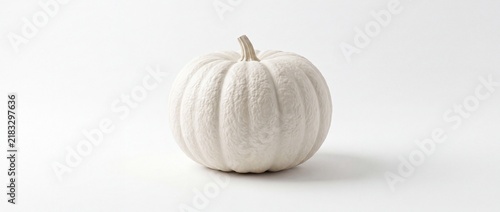 White pumpkin with textured surface on plain background