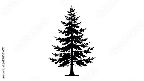 Coniferous Tree Silhouette: A stark black silhouette of a tall, dense coniferous tree stands against a white background, showcasing its evergreen form and branches.