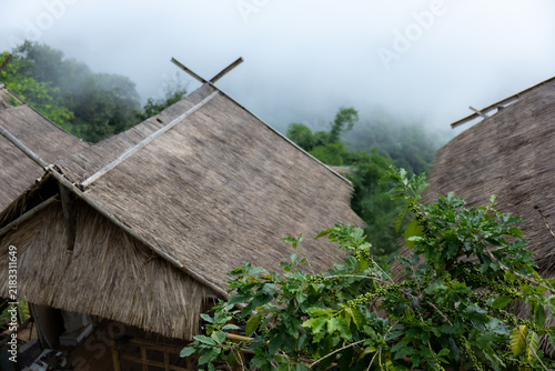 Fotografie Thatched hut roof tropical foliage misty mountain forest northern thailand villa