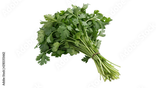 Foto Bunch of fresh green organic cilantro parsley isolated on transparent background