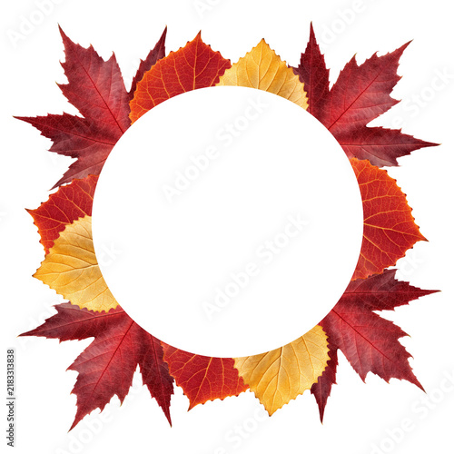 Autumn leaves circular center frame for Thanksgiving emblem product badge label and seasonal social media post