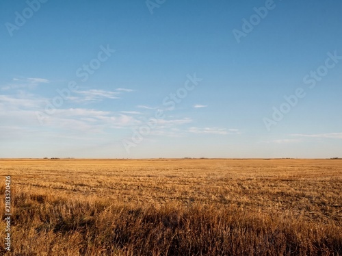 Tall Steel Grain Silos in Rural Agricultural Farm Landscape