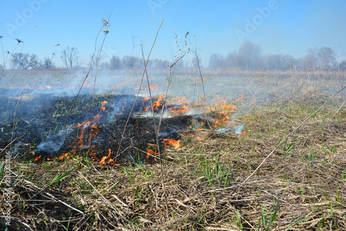 Grass Fire Burning Vegetation During El Nino