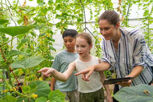 A female teacher, holding a tablet, is teaching a boy and a girl about plants and vegetables, and introducing them to the care of vegetables in the school's greenhouse.
