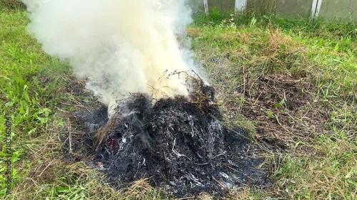 A smoldering pile of dry grass and brush burns on the ground, producing heavy white-gray smoke in a grassy area outdoors, highlighting fire danger and air pollution concerns. Autumn video background