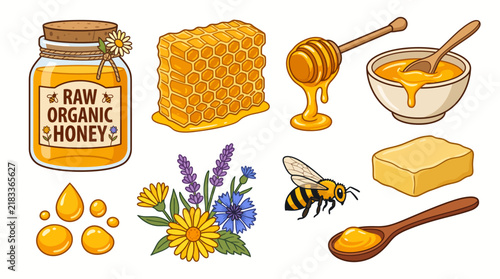 Картината върху платно Very beautiful realistic vector set featuring separate raw organic honey jar, fr