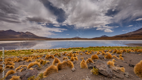 Foto Panorama with a few hundred James and Chilean flamingos in the Canapa Lagoon in the Andes mountain range near the Uyuni salt flat, Bolivia
