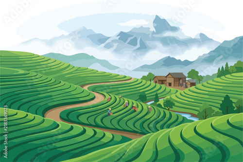 Lush green tea plantation terraces on rolling hills with mountains and village in background