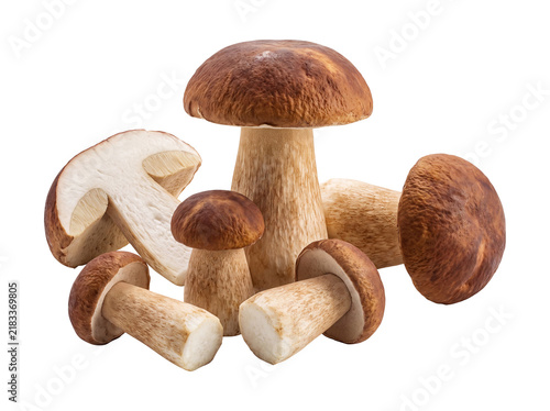 Fotografie Fresh Porcini Mushrooms Collection – Whole and Sliced Boletus Edulis on Transpar