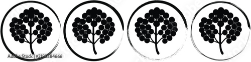 Four circular showing a black silhouette of a plant with multiple berries and leaves on a white background