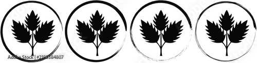 Four circular featuring a black silhouette of a three-leafed botanical plant on a white background, for branding