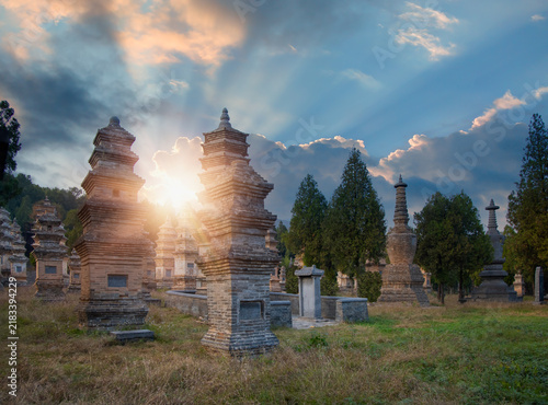 Принти на полотні Pagoda Forest at Shaolin Temple, one of the largest pagoda forests at sunset - C