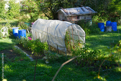 High angle view of garden plot with green house and tomatoes on a sunny summer morning. Photo taken September 6th, 2026, Zurich Schwamendingen, Switzerland.