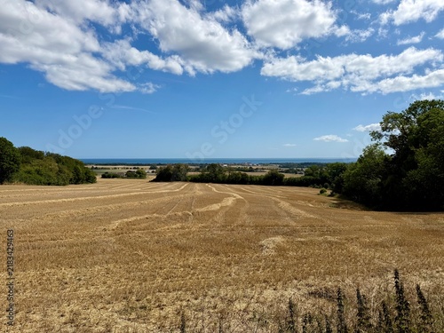 Blick auf die Ostsee