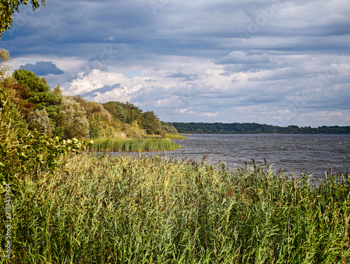 Sandy Beach At Senftenberger See In Buchwalde Brandenburg Germany