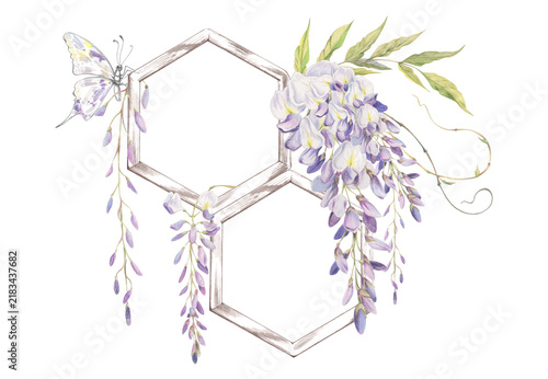 Cuadro en lienzo Ornamental wisteria, glycine vine entwined on wooden hexagonal trellis element