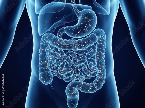 How to restore intestinal microflora