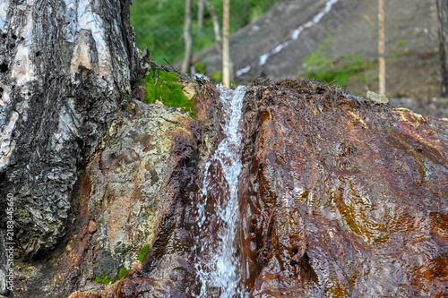 Cuadro en lienzo Natural spring of medicinal mineral water