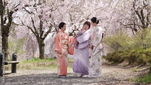 Three adults in patterned kimono gather around an infant held by one person beneath flowering branches.