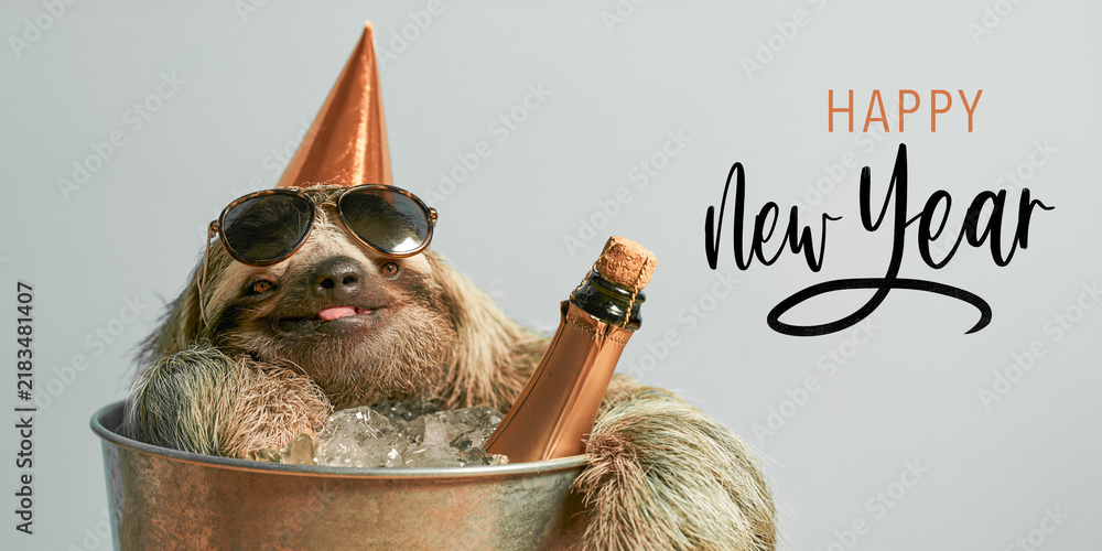 Fototapeta premium happy new year 2027, new year's eve party celebration animal greeting crad with text - Funny drunk sloth with a champagne bottle, isolated on bright blue background