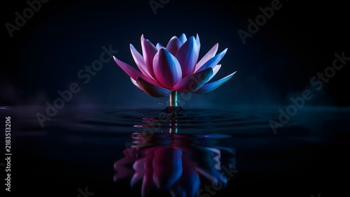 Radiant pink lotus flower glows with ethereal blue light while resting gracefully upon dark rippling water in a serene atmosphere