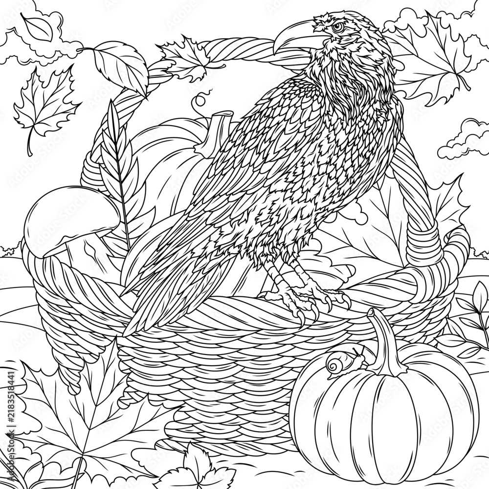 Obraz premium A raven is sitting on a basket of pumpkins. Autumn.Simple drawing.Coloring book antistress for children and adults. 