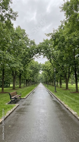 Wet path through a park lined with green trees, empty wooden bench on a rainy overcast day.