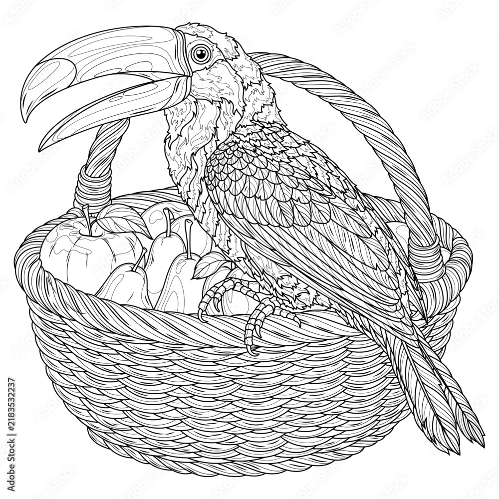 Obraz premium Toucan and a basket of fruit.Coloring book antistress for children and adults. 