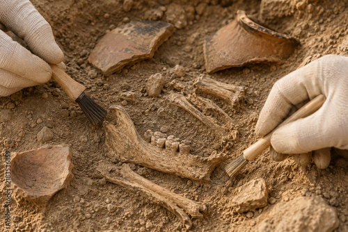 Ancient Animal Bones and Pottery Excavated Together