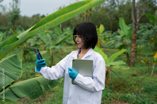 Obraz na płótnie Female agricultural scientist in lab coat using smartphone while holding tablet,